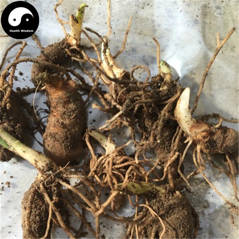 Chong Lou Fen 重樓粉, Pure Rhizoma Paridis Roots Powder, Chinese Paris Rhizome, Zhong Lou-Health Wisdom™