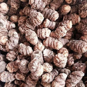 Chong Lou Ge 重樓个, Rhizoma Paridis Roots, Chinese Paris Rhizome, Zhong Lou-Health Wisdom™