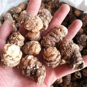 Chong Lou Ge 重樓个, Rhizoma Paridis Roots, Chinese Paris Rhizome, Zhong Lou-Health Wisdom™