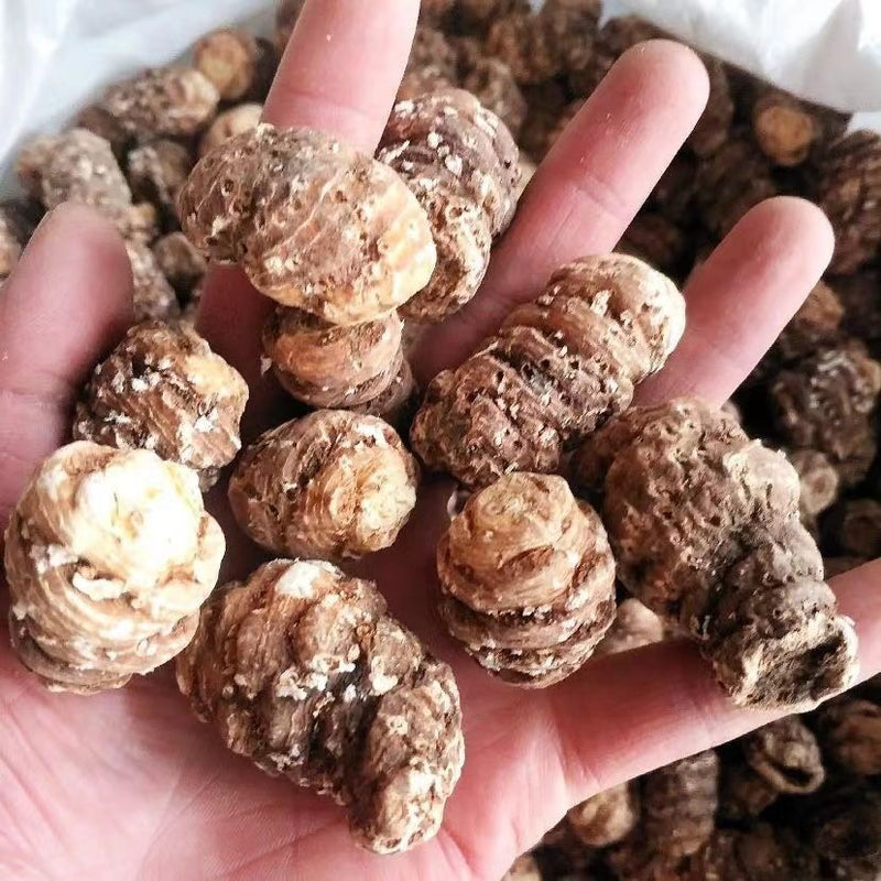 Chong Lou Ge 重樓个, Rhizoma Paridis Roots, Chinese Paris Rhizome, Zhong Lou-Health Wisdom™