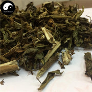 Chou Ling Dan Cao 臭靈丹草, Herba Laggerae, Wingedtooth Laggera Herb, Shi Zi Cao-Health Wisdom™