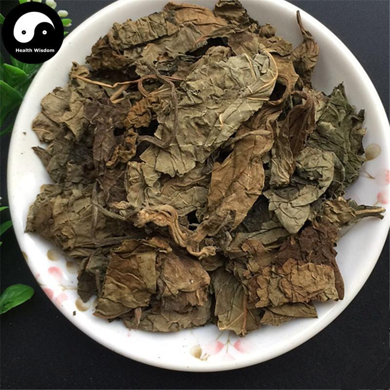 Chou Wu Tong 臭梧桐, Folium Clerodendri Trichotomi, Harlequin Glorybower Leaf and Twig-Health Wisdom™