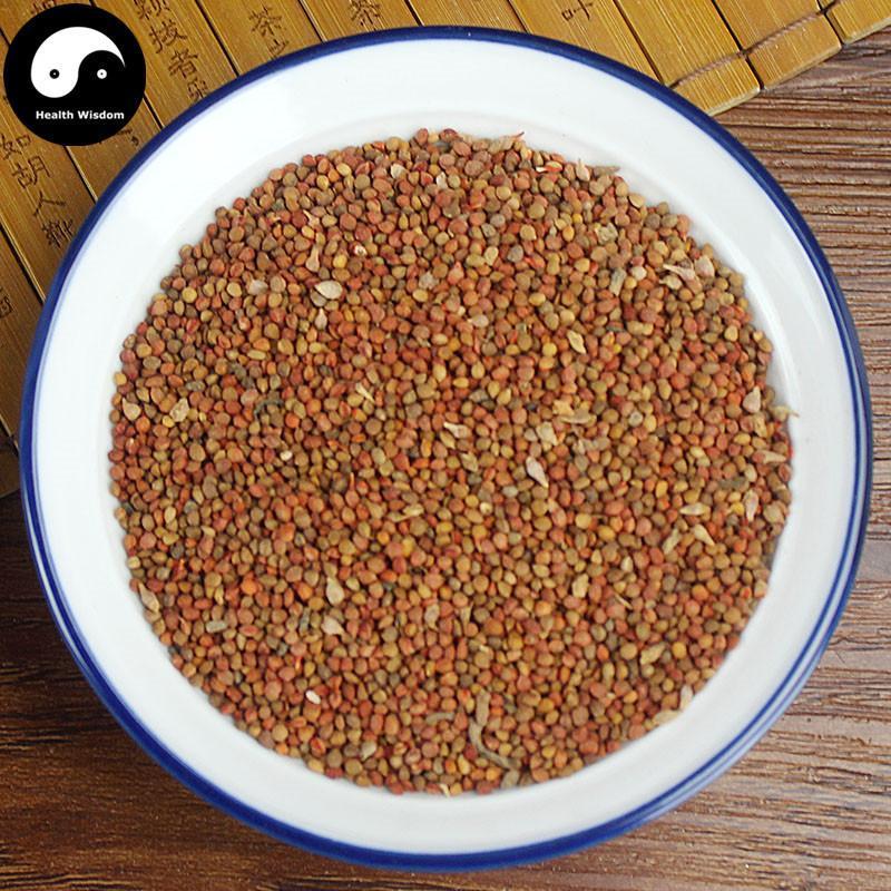 Chu Shi Zi 楮實子, Fruit of Paper Mulberry, Fructus Broussonetiae, Papermulberry Fruit-Health Wisdom™