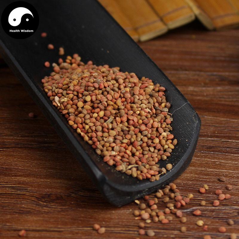 Chu Shi Zi 楮實子, Fruit of Paper Mulberry, Fructus Broussonetiae, Papermulberry Fruit-Health Wisdom™