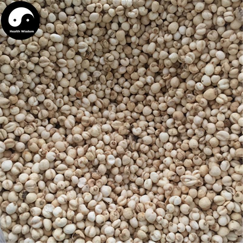 Chuan Bei Mu 川贝母, Bulbus Fritillariae Cirrhosae, Unibract Fritillary Bulb-Health Wisdom™