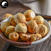 Chuan Lian Zi 川楝子, Fructus Toosendan, Toosendan Fruit, Szechwan Chinaberry Fruit, Jin Ling Zi-Health Wisdom™
