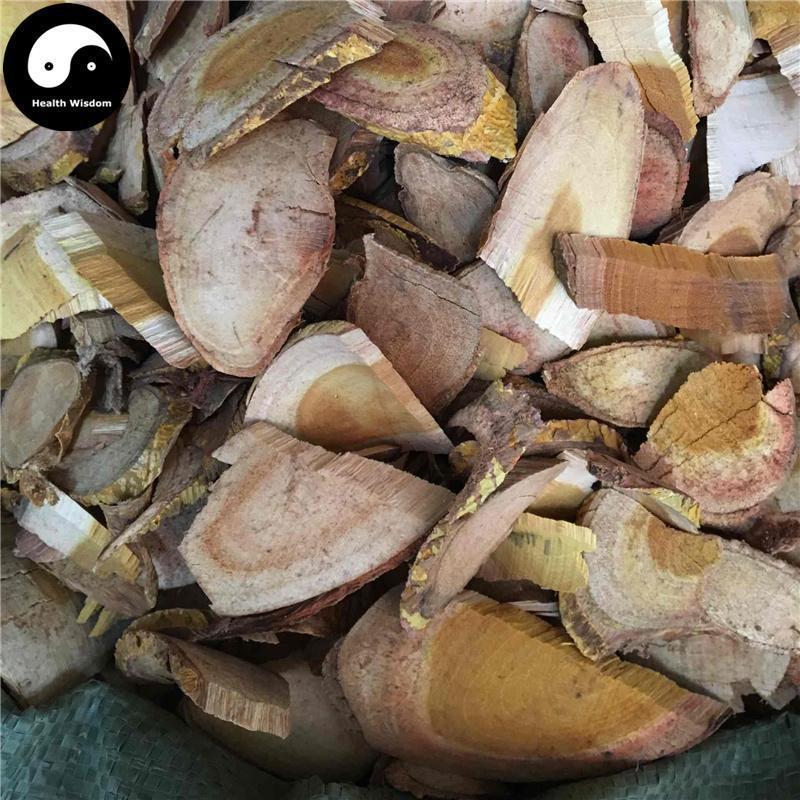 Chuan Po Shi 穿破石, Radix Cudraniae, Cochinchina Cudrania Root, Zhe Gen-Health Wisdom™