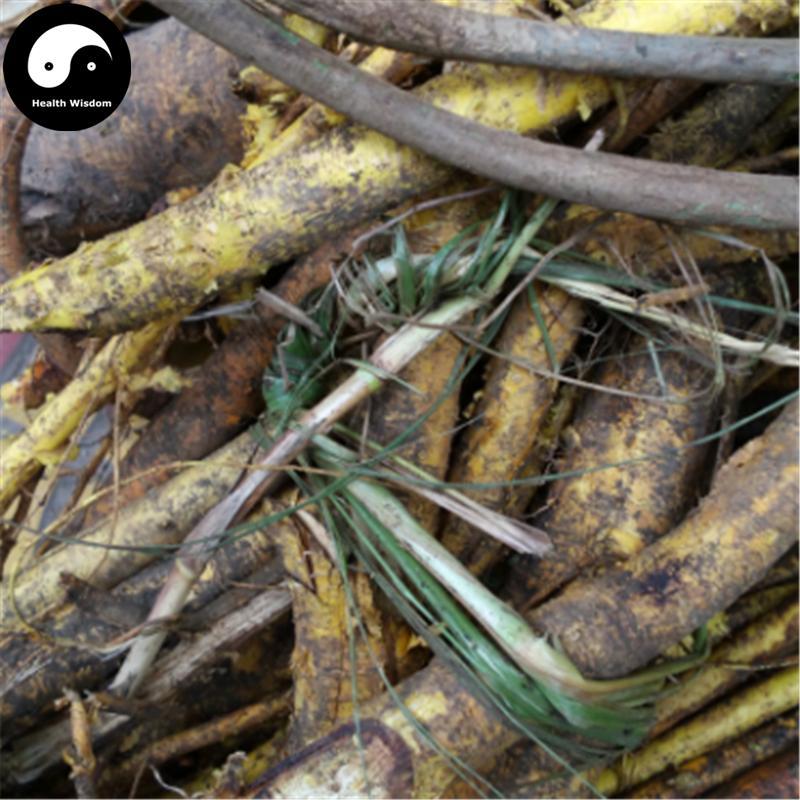Chuan Po Shi 穿破石, Radix Cudraniae, Cochinchina Cudrania Root, Zhe Gen-Health Wisdom™