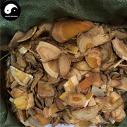 Chuan Po Shi 穿破石, Radix Cudraniae, Cochinchina Cudrania Root, Zhe Gen-Health Wisdom™