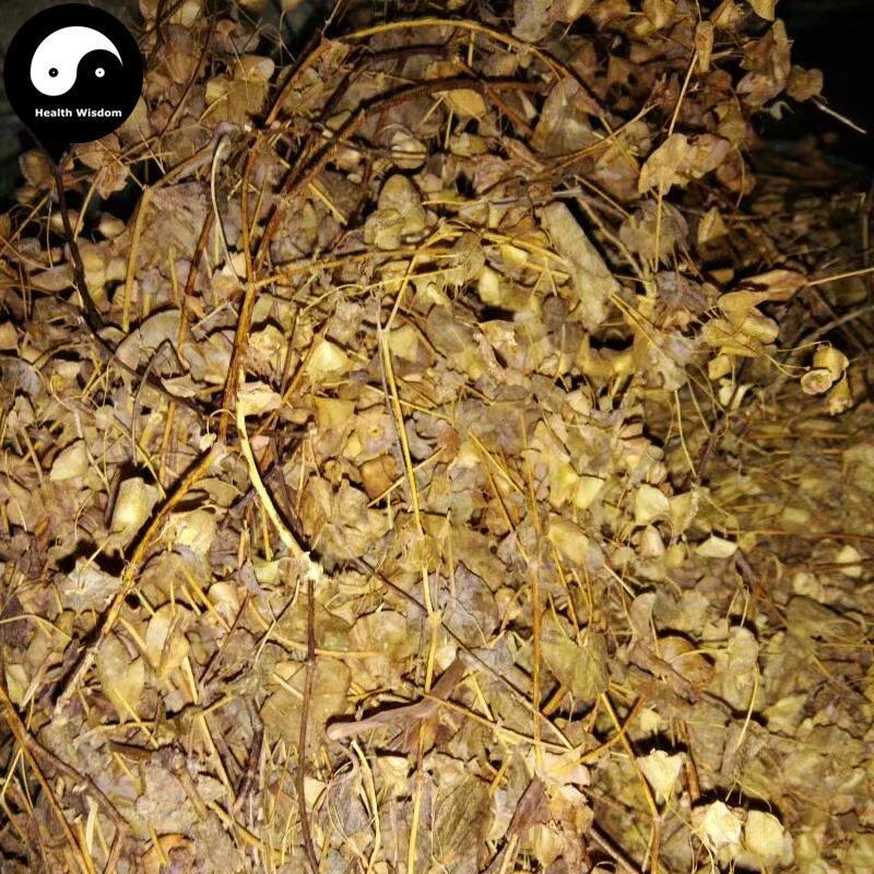Chuan Xin Cao 穿心草, Common Canscora Herb, Herba Canscorae Lucidissimae, Chuan Qian Cao-Health Wisdom™