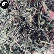 Chuan Xin Lian 穿心蓮, Herba Andrographis, Common Andrographis Herb, Ku Dan Cao-Health Wisdom™