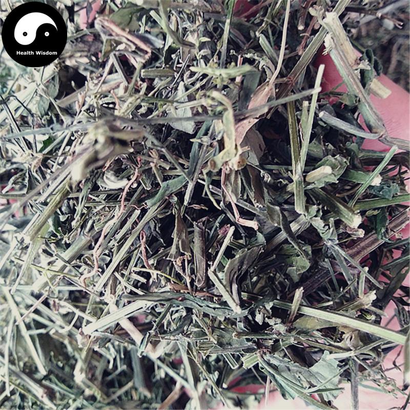 Chuan Xin Lian 穿心蓮, Herba Andrographis, Common Andrographis Herb, Ku Dan Cao-Health Wisdom™