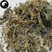 Chui Pen Cao 垂盆草, Stringy Stonecrop Herb, Herba Sedi Sarmentosi, Sedum Sarmentosum Bunge-Health Wisdom™