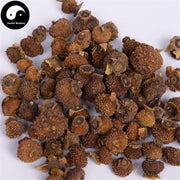 Ci Li Gan 刺梨干, Dried Roxburgh Rose VC Fruit Tea, Fructus Roxburgh-Health Wisdom™