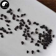 Cong Zi 葱子, Cong Shi, Seed of Fistular Onion-Health Wisdom™