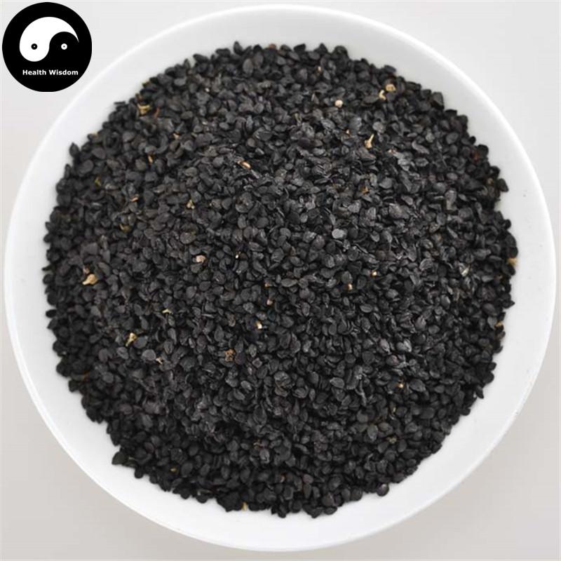 Cong Zi 葱子, Cong Shi, Seed of Fistular Onion-Health Wisdom™