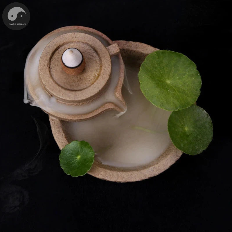 Creative Home Decor Backflow Stick Incense Burner Ceramic Censer Home Decoration Use In Home Teahouse Zen Yoga Decor -No Incense-Health Wisdom™