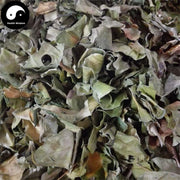 Da Bo Gu Dan 大驳骨丹, Herba Gendarussa Ventricosa-Health Wisdom™