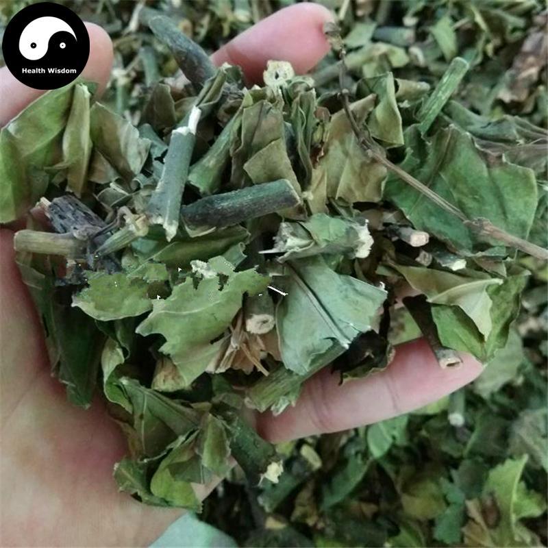 Da Bo Gu Dan 大驳骨丹, Herba Gendarussa Ventricosa-Health Wisdom™