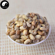 Da Dou Huang Juan 大豆黃卷, Semen Sojae Germinatum, Soybean Germinated-Health Wisdom™