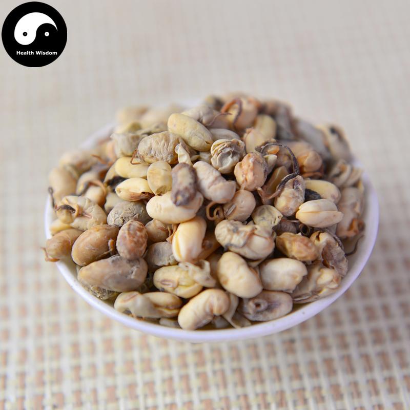 Da Dou Huang Juan 大豆黃卷, Semen Sojae Germinatum, Soybean Germinated-Health Wisdom™