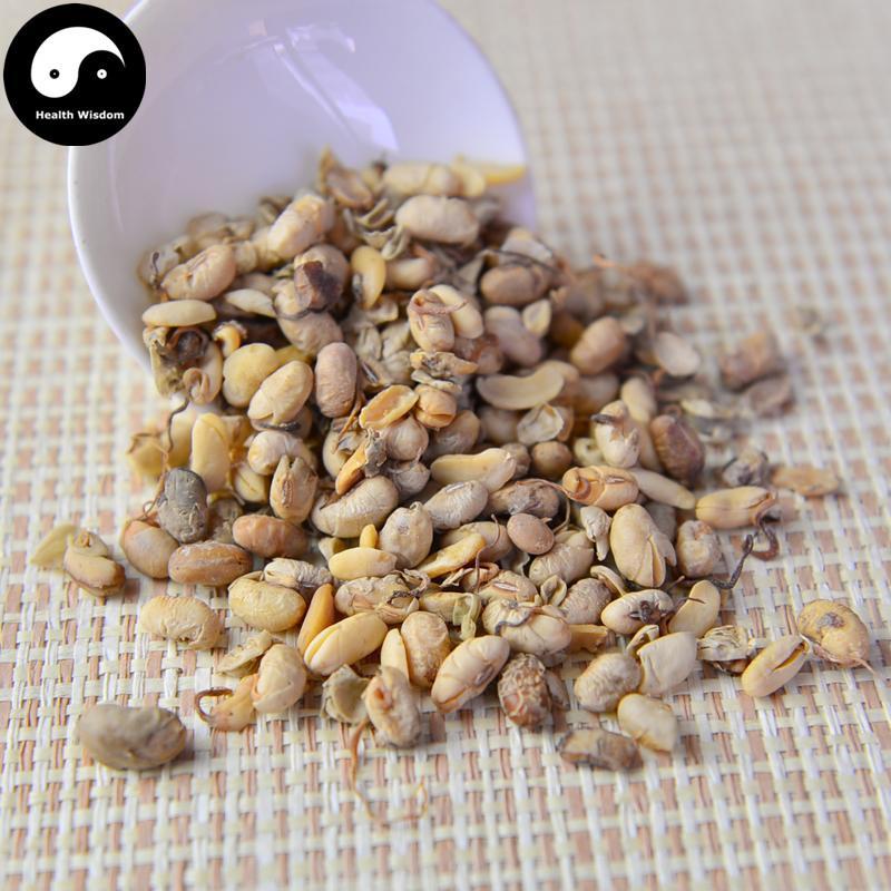 Da Dou Huang Juan 大豆黃卷, Semen Sojae Germinatum, Soybean Germinated-Health Wisdom™