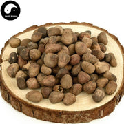 Da Feng Zi 大風子, Ma Feng Zi, Chaulmoogratree Seed, Semen Hydnocarpi-Health Wisdom™