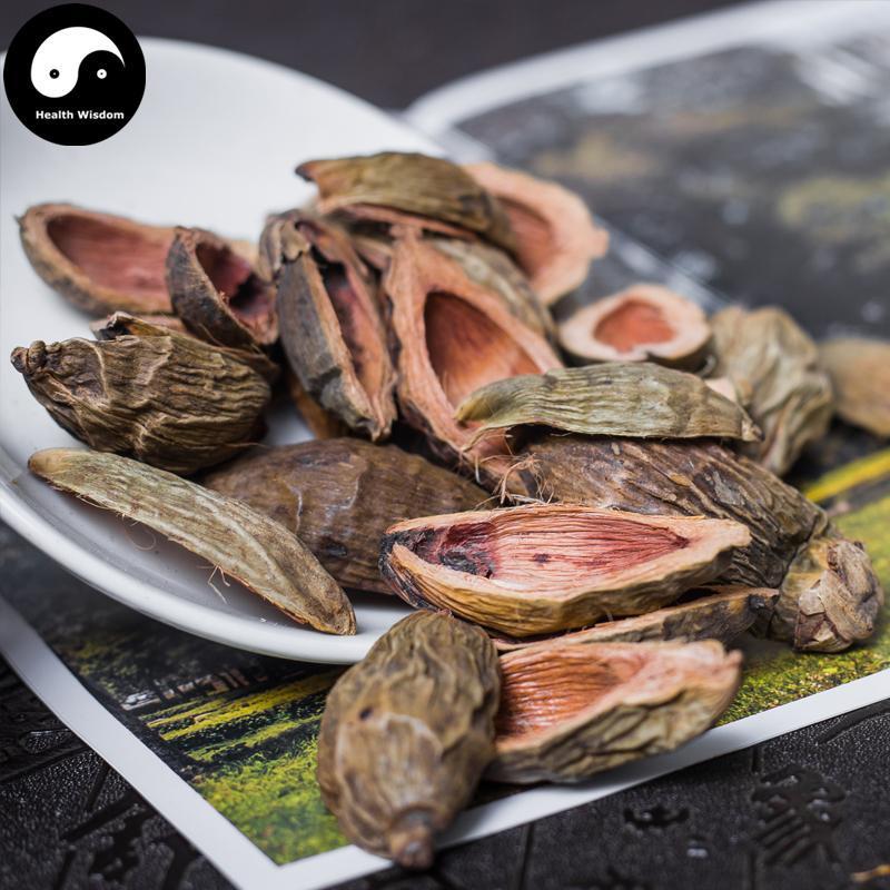 Da Fu Pi 大腹皮, Pericarpium Arecae, Areca Peel, Da Fu Mao, Bing Lang Pi-Health Wisdom™