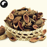 Da Fu Pi 大腹皮, Pericarpium Arecae, Areca Peel, Da Fu Mao, Bing Lang Pi-Health Wisdom™