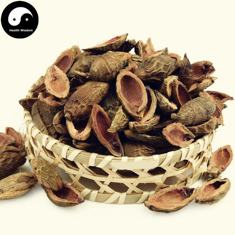Da Fu Pi 大腹皮, Pericarpium Arecae, Areca Peel, Da Fu Mao, Bing Lang Pi-Health Wisdom™
