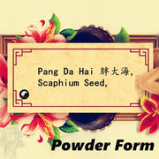 Da Hai 胖大海, Boat-fruited Scaphium Seed, Pure Semen Sterculiae Lychnophorae Powder-Health Wisdom™