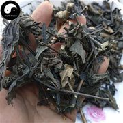 Da Qing Ye 大青葉, Folium Isatidis, Indigowoad Leaf-Health Wisdom™