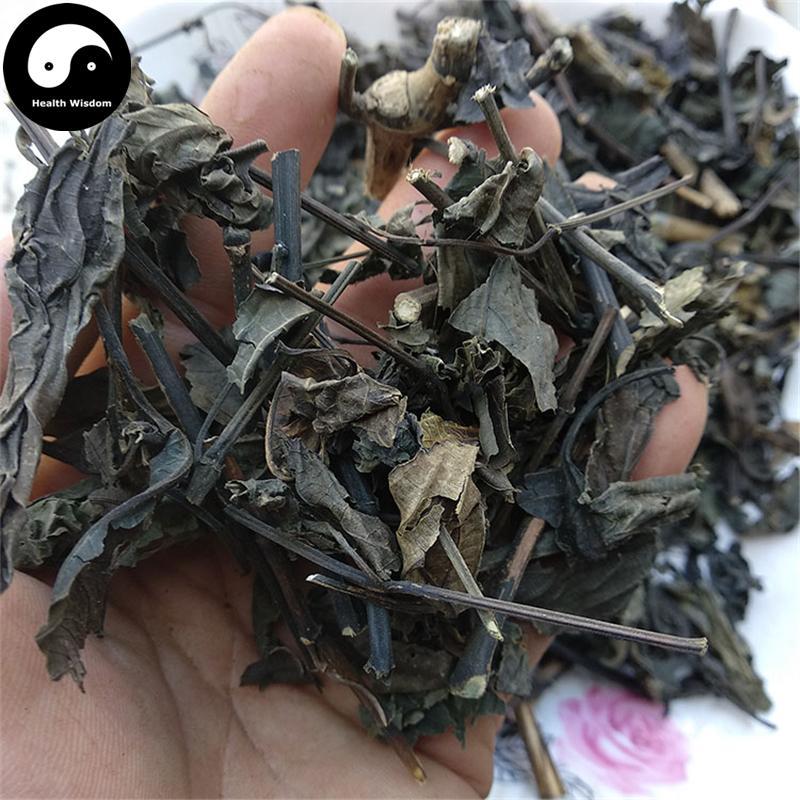 Da Qing Ye 大青葉, Folium Isatidis, Indigowoad Leaf-Health Wisdom™