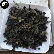 Da Qing Ye 大青葉, Folium Isatidis, Indigowoad Leaf-Health Wisdom™
