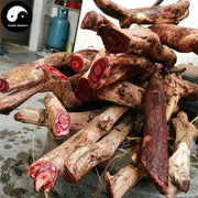 Da Xue Teng 大血藤, Caulis Sargentodoxae, Hong Teng, Sargentgloryvine Stem-Health Wisdom™