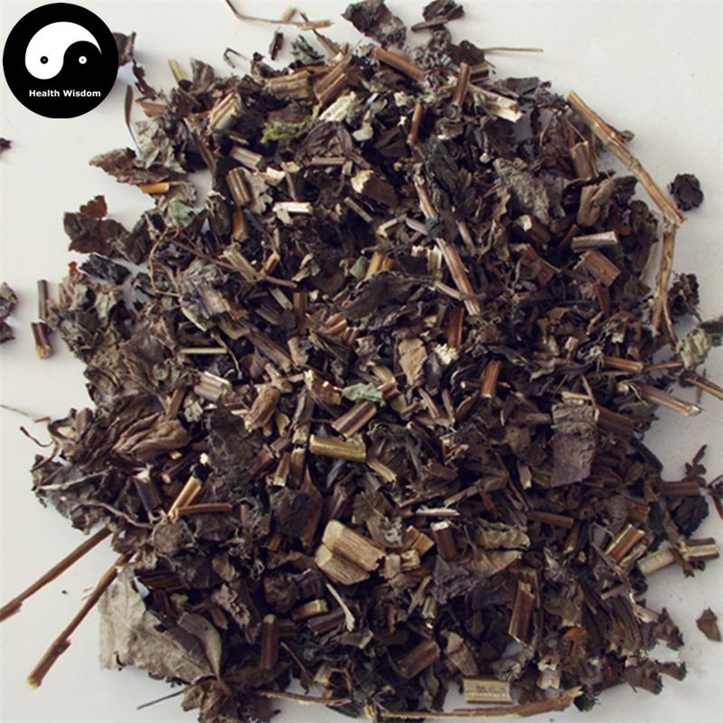 Da Ye She Zong Guan 大叶蛇总管, Herba Isodon Neruosurs, Shan Bo He, Lan Hua Chai Hu-Health Wisdom™