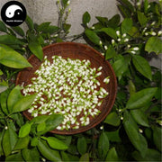 Dai Dai Hua 玳玳花, Seville Orange Flower, Flos Citrus Aurantium-Health Wisdom™
