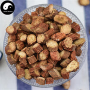 Dan Shen 丹參, Radix Salviae Miltiorrhizae, Salviae Miltiorrhizae Root-Health Wisdom™