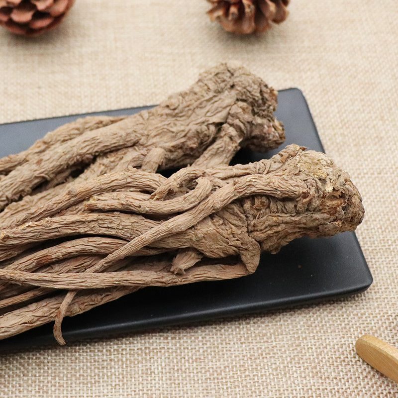 Dang Gui Ge 當歸个, Whole Radix Angelicae Sinensis Roots, Chinese Herb Angelica, Dong Quai 当归-Health Wisdom™