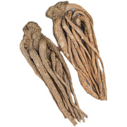 Dang Gui Pian 當歸片, Radix Angelicae Sinensis Slices, Chinese Angelica, Dong Quai-Health Wisdom™