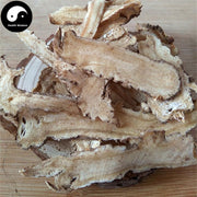 Dang Gui Pian 當歸片, Radix Angelicae Sinensis Slices, Chinese Angelica, Dong Quai-Health Wisdom™