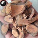 Dang Gui Teng 当归藤, Radix Embelia Parviflora, Embelia Root, Da Li Wang-Health Wisdom™