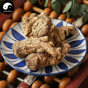 Dang Gui Tou 當歸头, Radix Angelicae Sinensis Head, Chinese Angelica, Dong Quai-Health Wisdom™