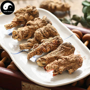 Dang Gui Tou 當歸头, Radix Angelicae Sinensis Head, Chinese Angelica, Dong Quai-Health Wisdom™