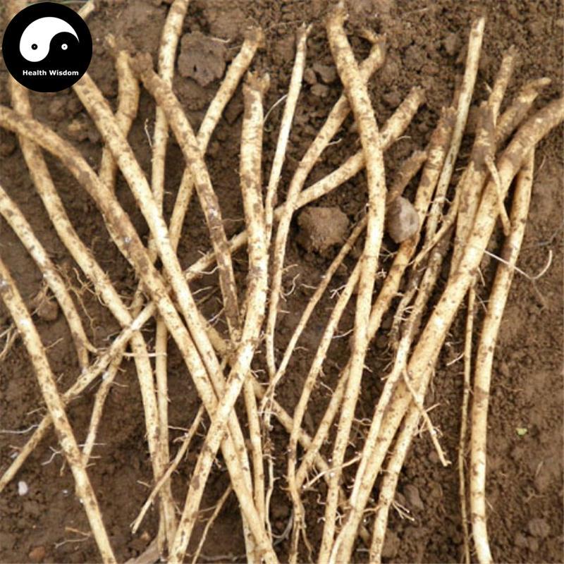 Dang Shen 黨參, Radix Codonopsis, Pilose Asiabell Root, Tangshen Root-Health Wisdom™