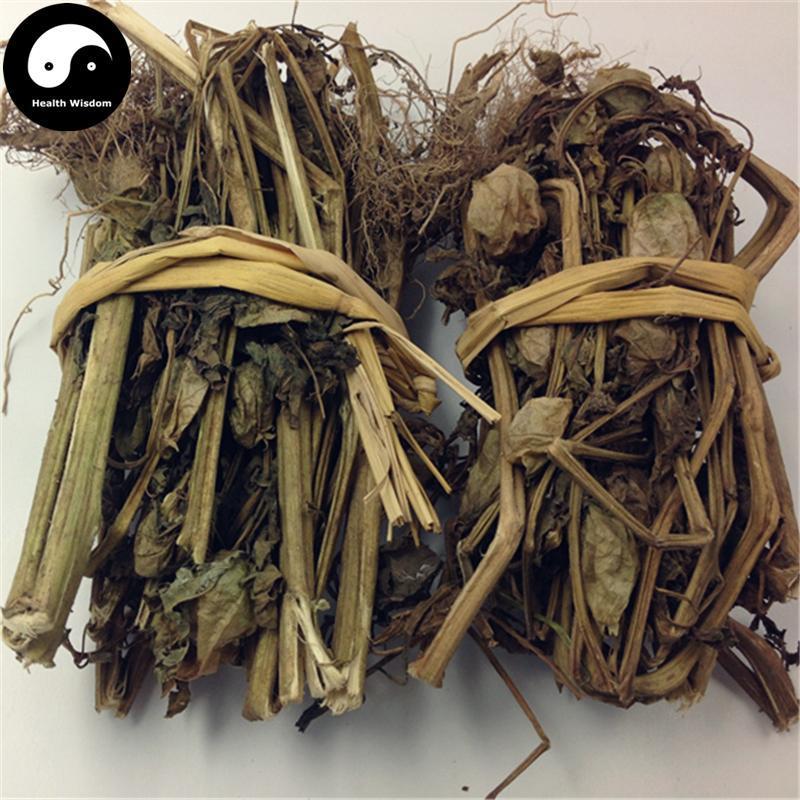 Deng Long Cao 燈籠草, Peruvian Groundcherry Herb, Herba Physalis Peruvianae-Health Wisdom™