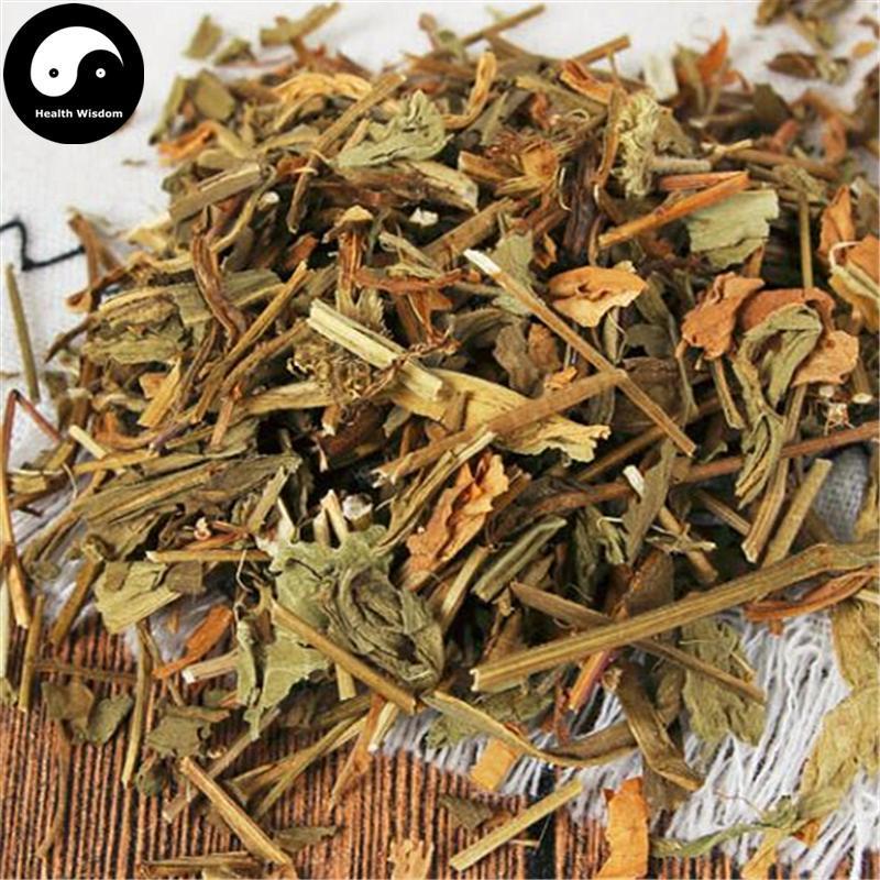 Deng Zhan Xi Xin 燈盞細辛, Herba Erigerontis, Deng Zhan Cao-Health Wisdom™