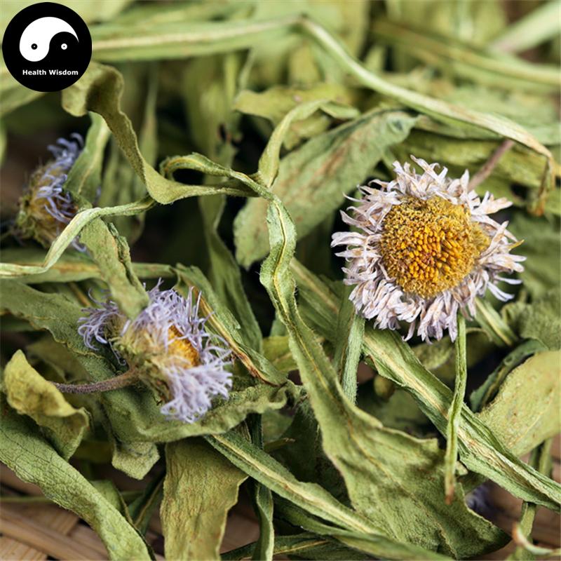 Deng Zhan Xi Xin 燈盞細辛, Herba Erigerontis, Deng Zhan Cao-Health Wisdom™