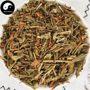 Deng Zhan Xi Xin 燈盞細辛, Herba Erigerontis, Deng Zhan Cao-Health Wisdom™