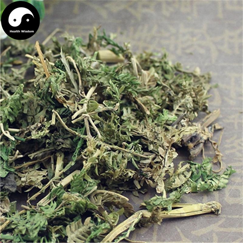 Di Bai Zhi 地柏枝, Herba Selaginellae Moellendorfii, Moellendorf's Spidemoss Herb, Jiang Nan Juan Bai-Health Wisdom™